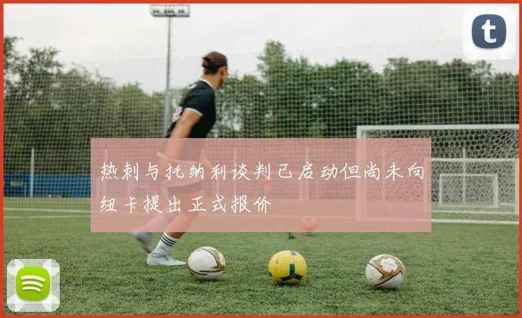 热刺与托纳利谈判已启动但尚未向纽卡提出正式报价