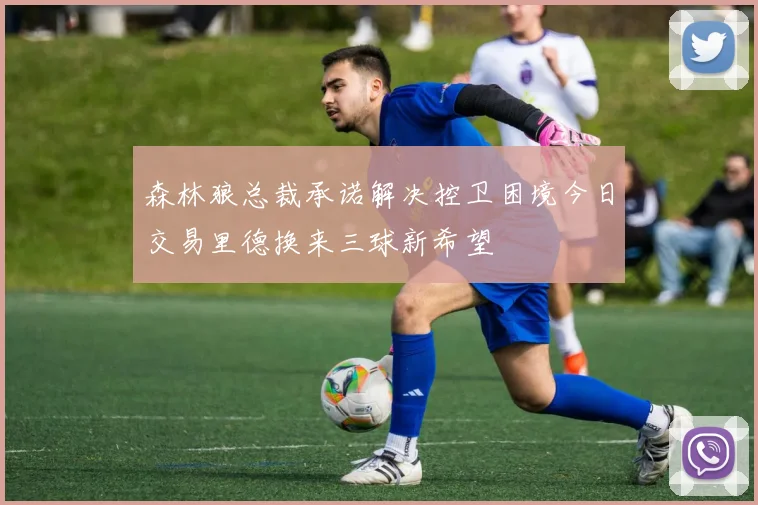 森林狼总裁承诺解决控卫困境今日交易里德换来三球新希望